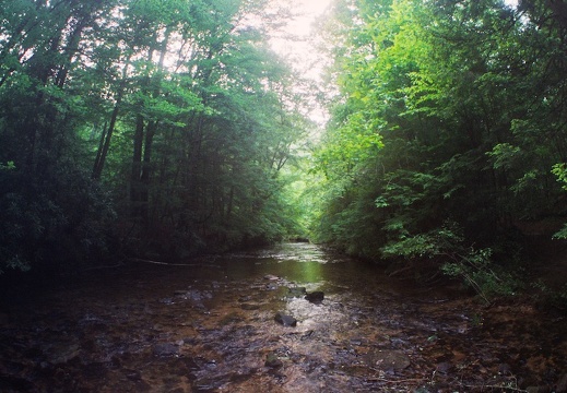 Laurel Fork Creek, Big South Fork country